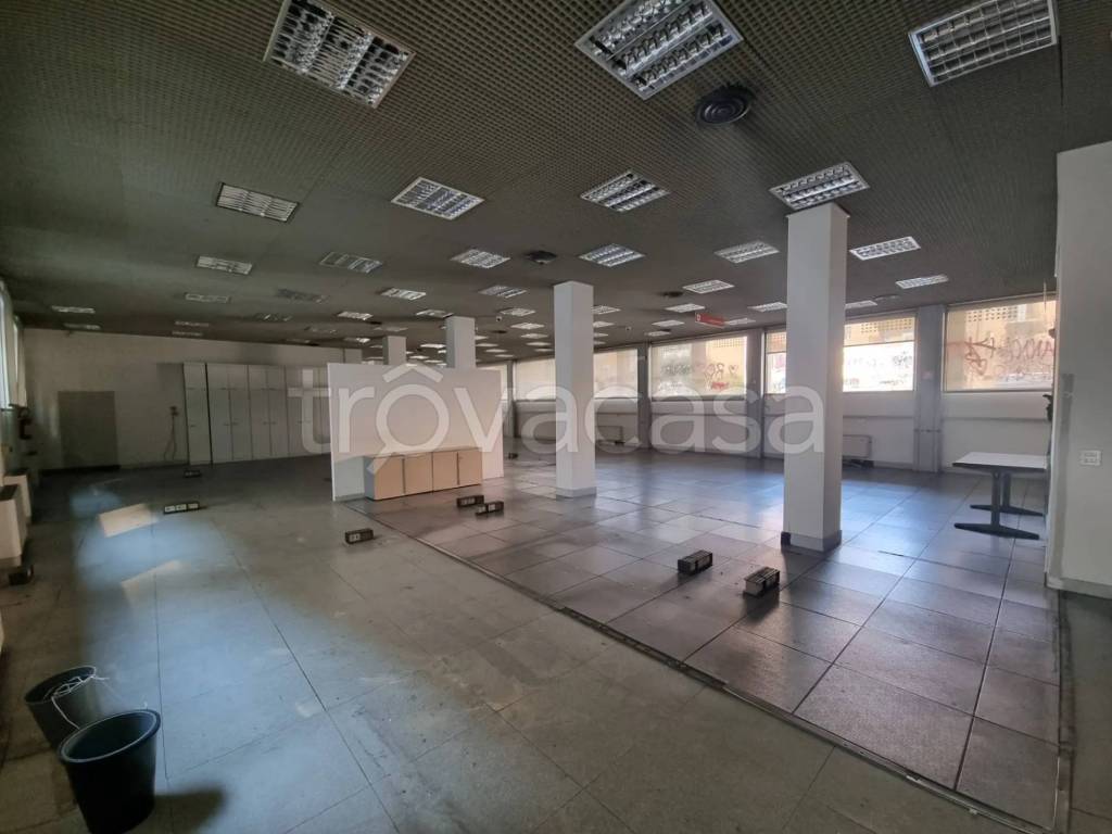 immagine annuncio 6 di 14