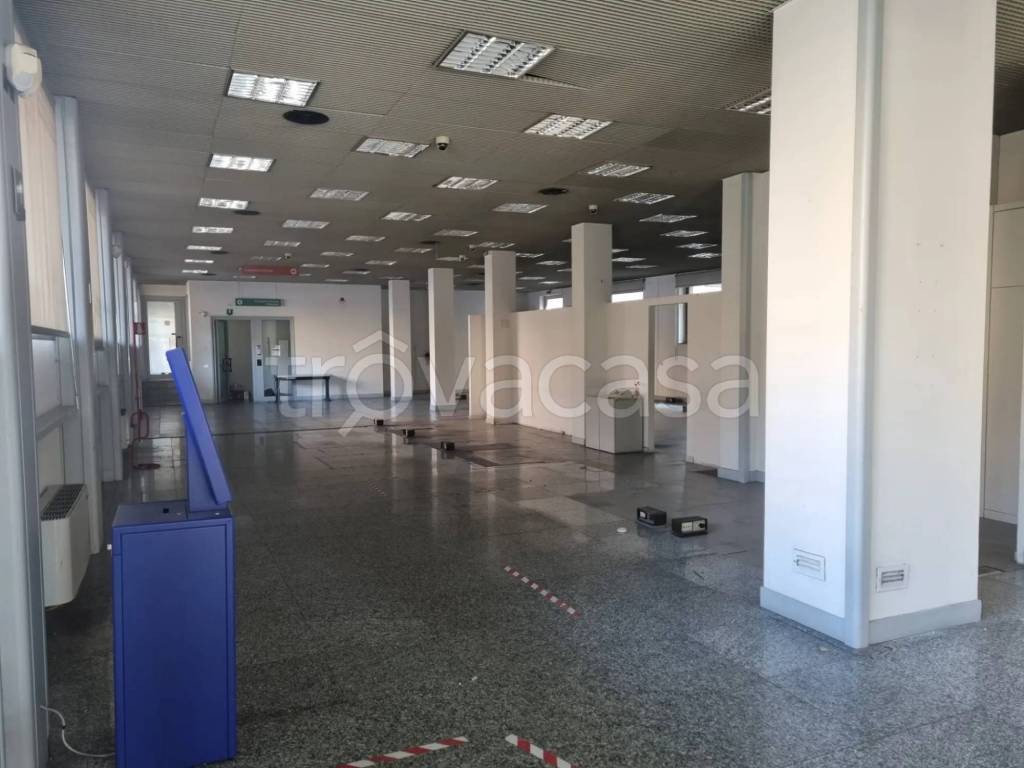 immagine annuncio 9 di 14