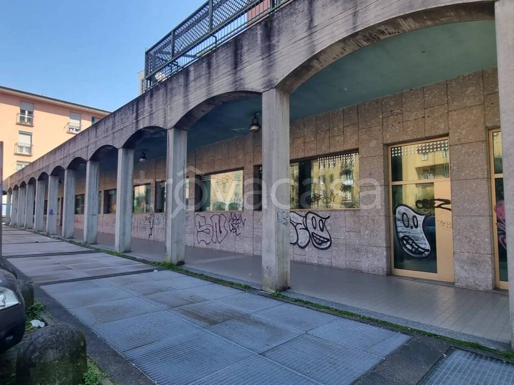 immagine annuncio 12 di 14