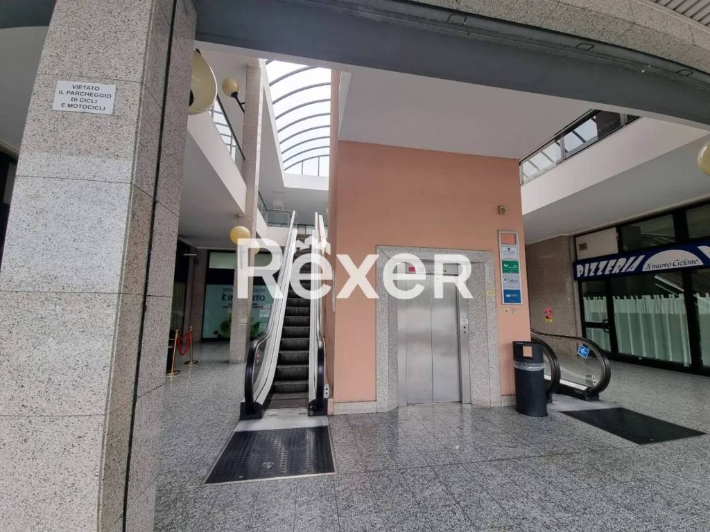 immagine annuncio 7 di 12