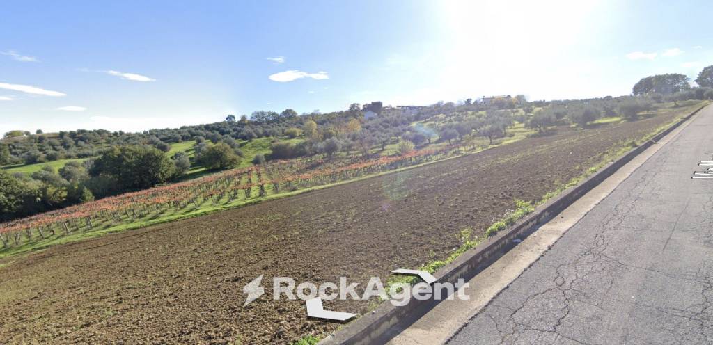 immagine annuncio 8 di 13