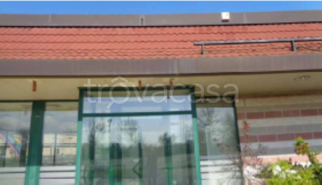 immagine annuncio 3 di 9