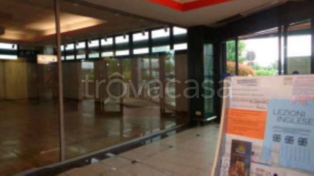 immagine annuncio 4 di 9