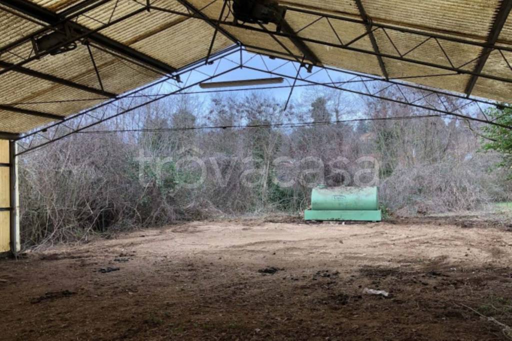 immagine annuncio 3 di 12