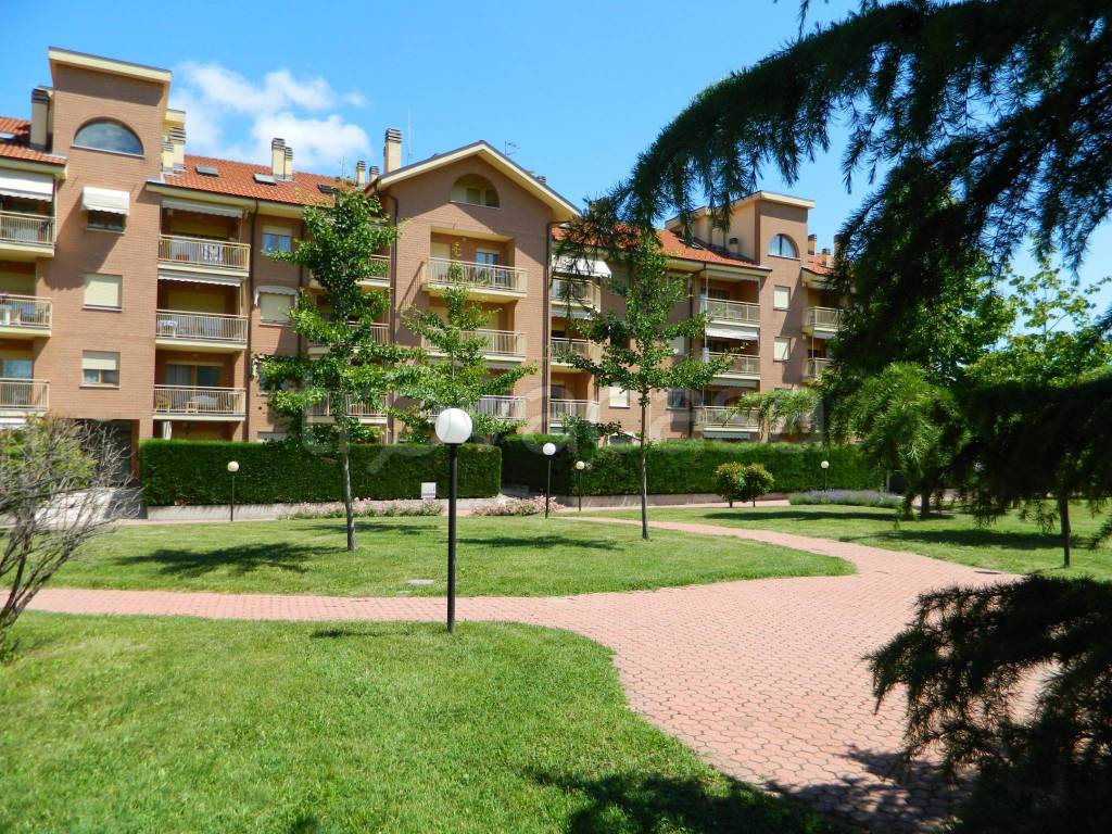 immagine annuncio 2 di 10