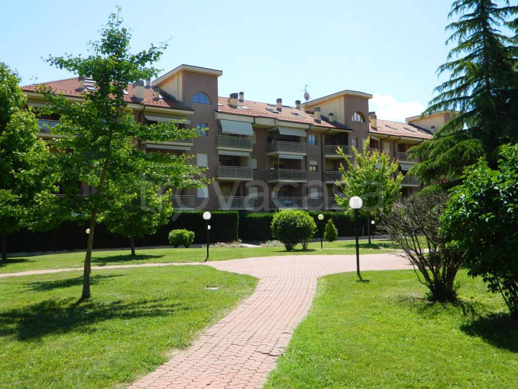 immagine annuncio 6 di 10