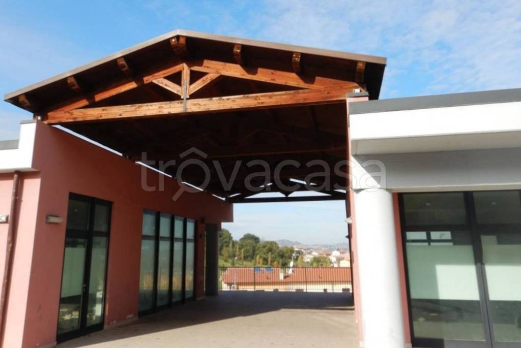 immagine annuncio 7 di 13