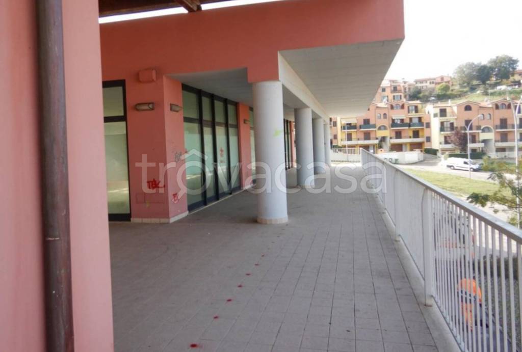 immagine annuncio 12 di 13