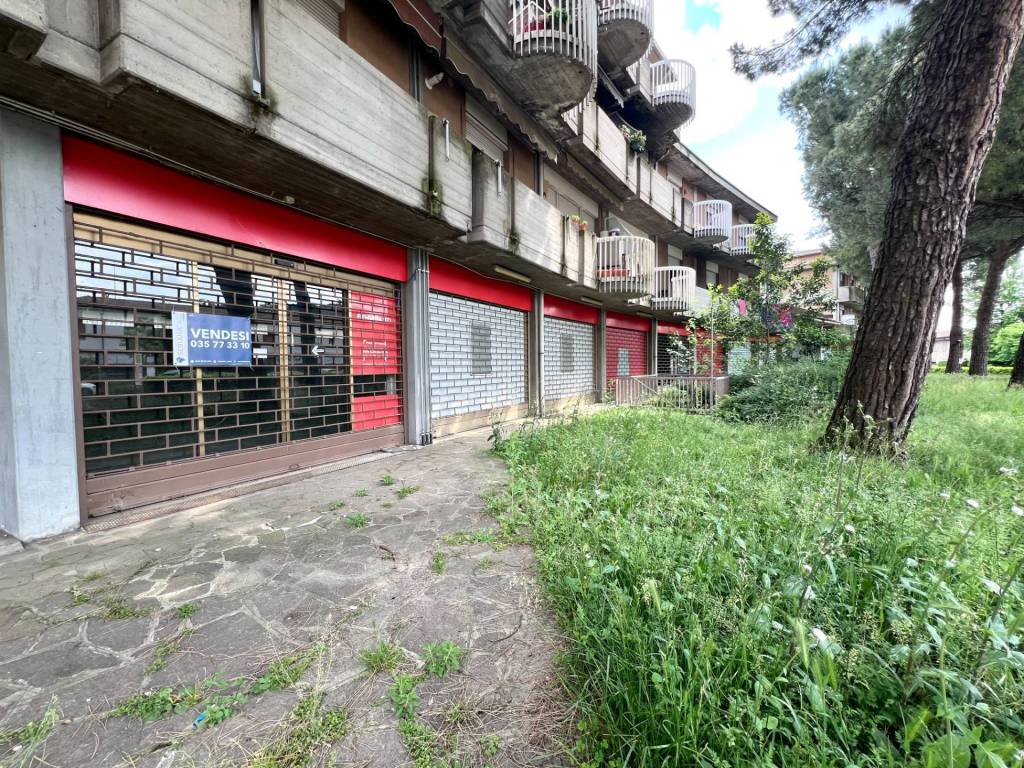 immagine annuncio 4 di 9