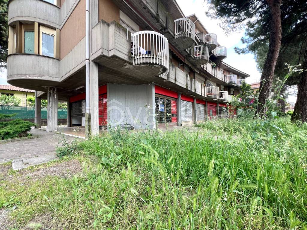 immagine annuncio 5 di 9