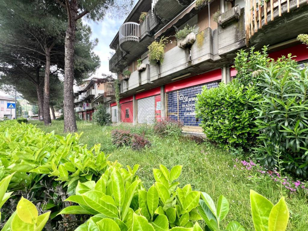 immagine annuncio 8 di 9