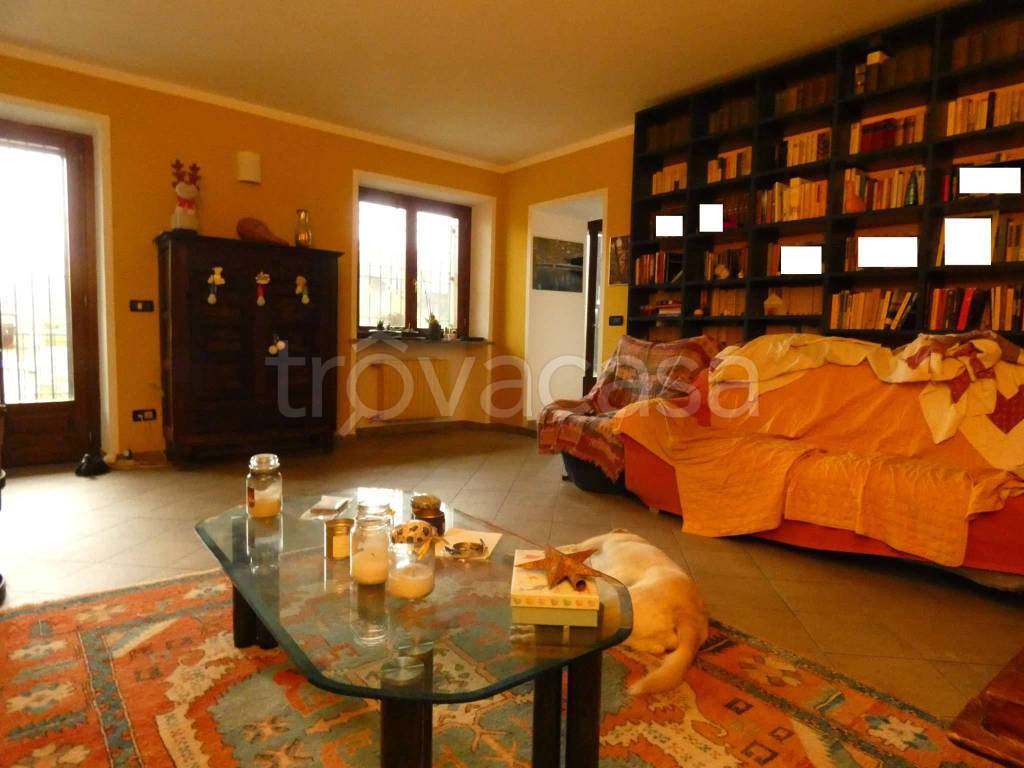 immagine annuncio 12 di 15