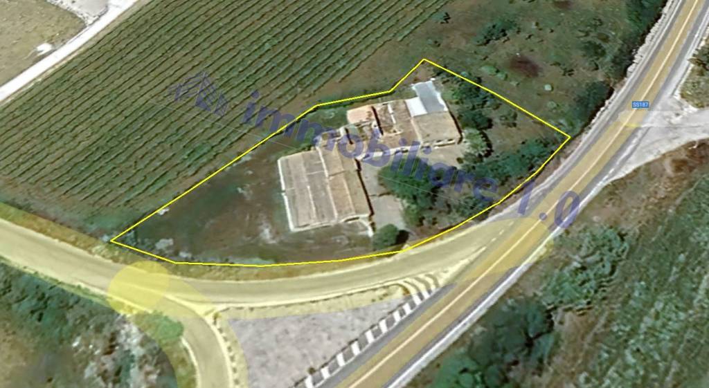 immagine annuncio 1 di 6