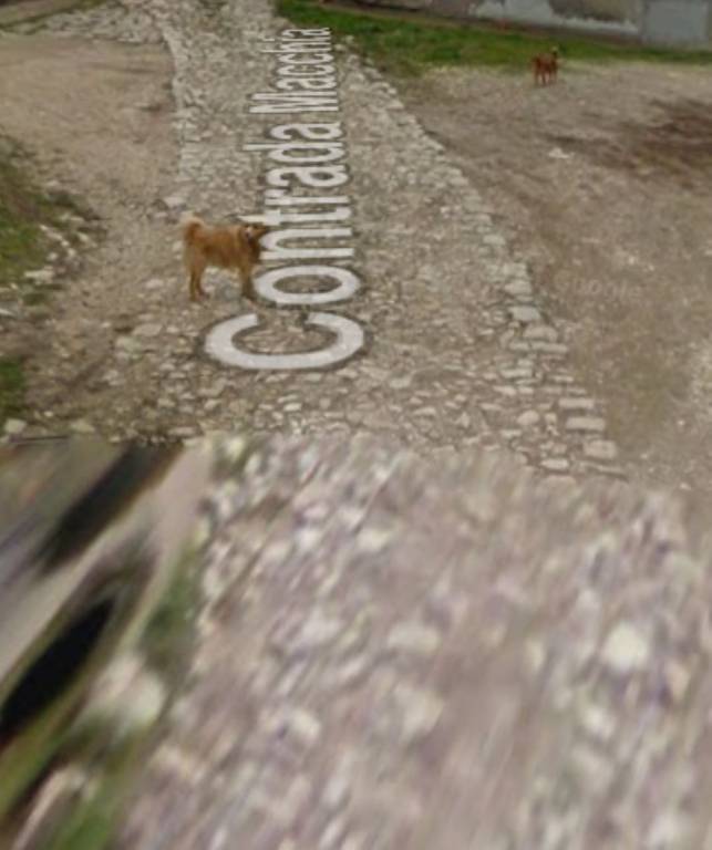 immagine annuncio 8 di 15