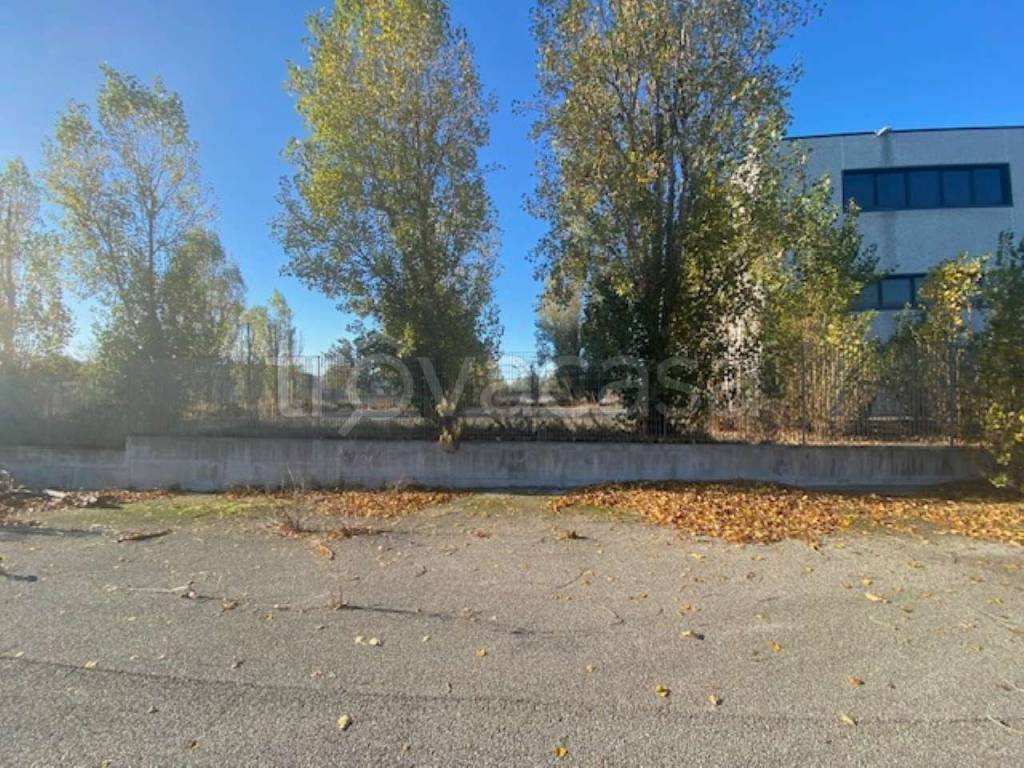 immagine annuncio 12 di 15