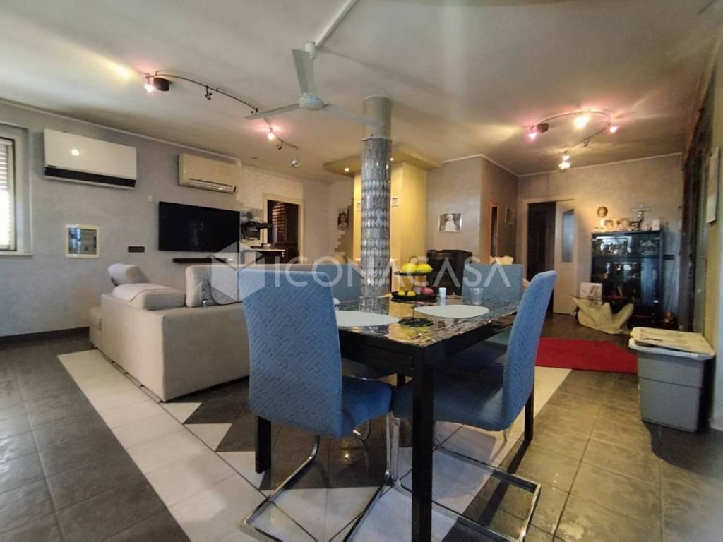 immagine annuncio 4 di 14