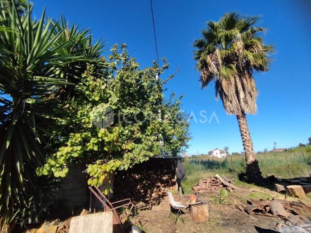 immagine annuncio 13 di 14