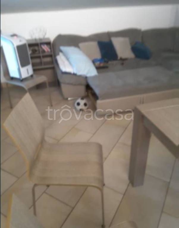 immagine annuncio 4 di 11