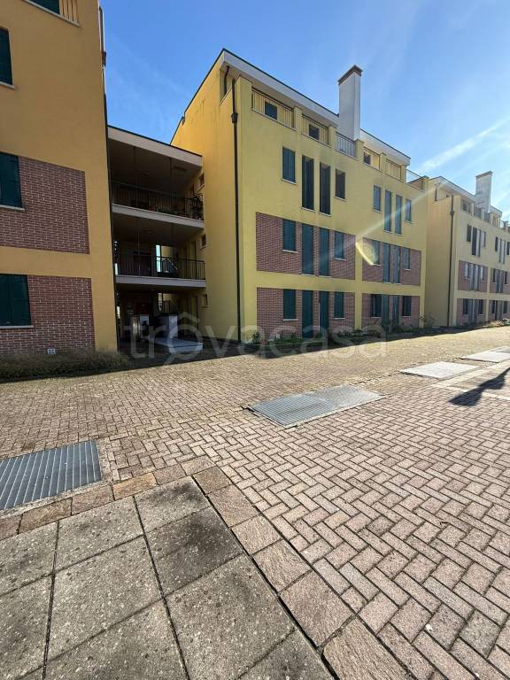 immagine annuncio 1 di 12