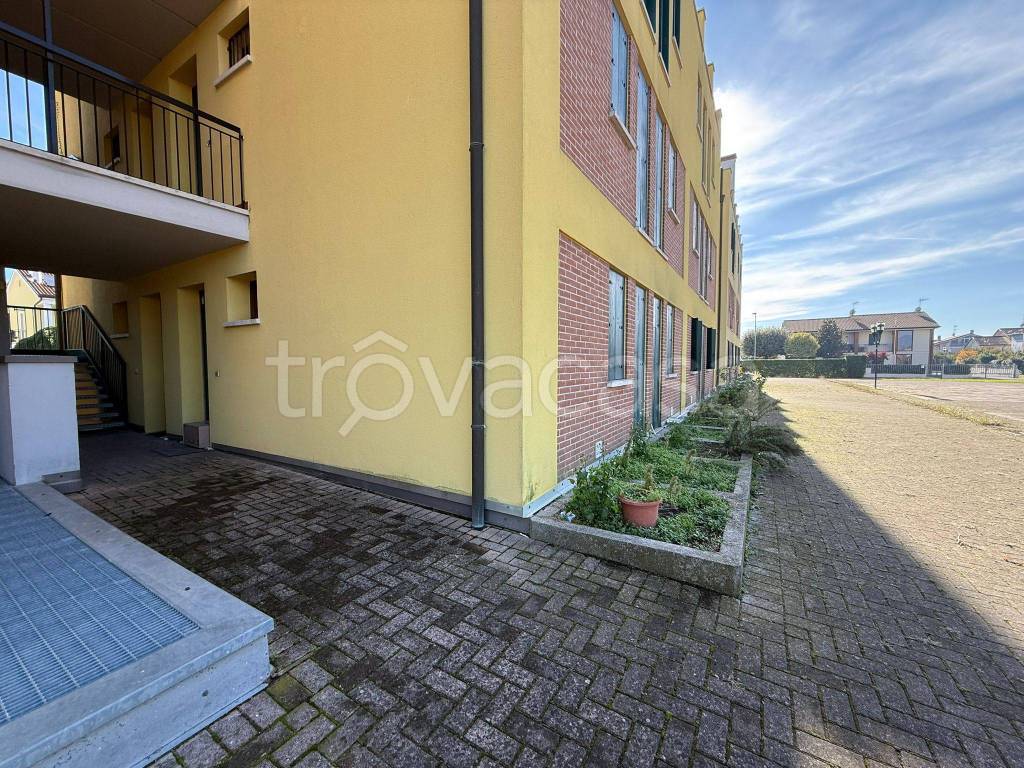 immagine annuncio 2 di 12