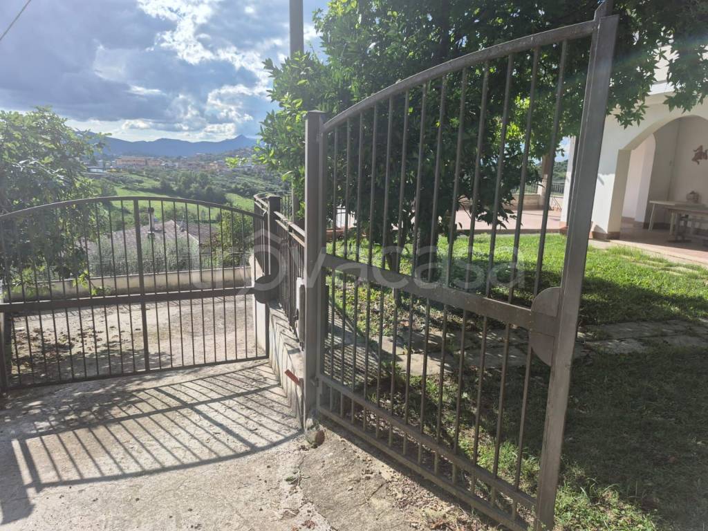 immagine annuncio 2 di 8