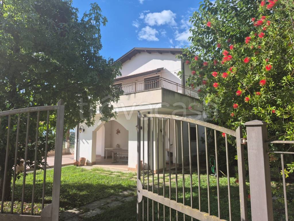 immagine annuncio 3 di 8