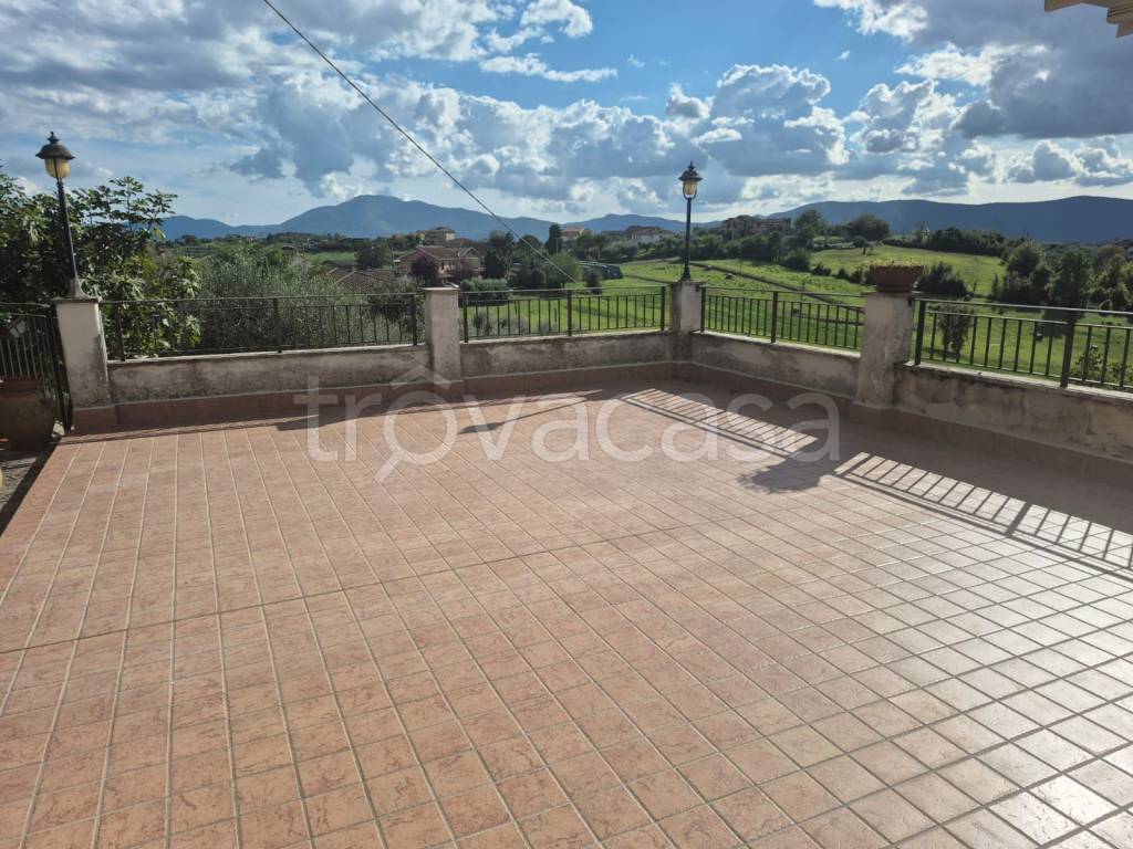 immagine annuncio 5 di 8