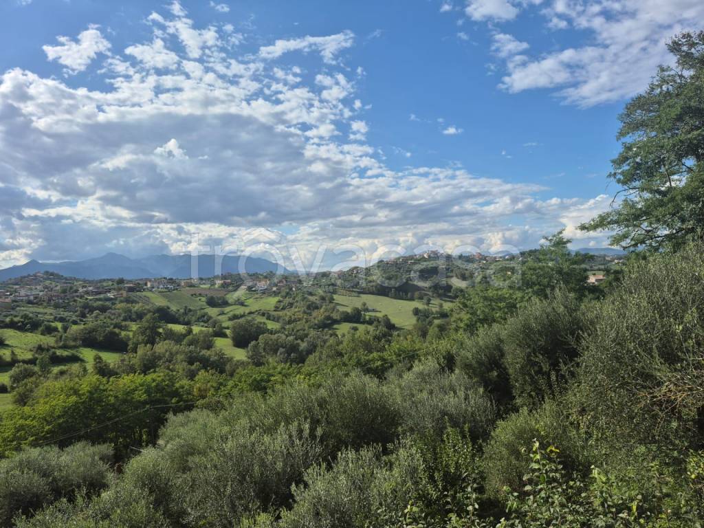 immagine annuncio 7 di 8