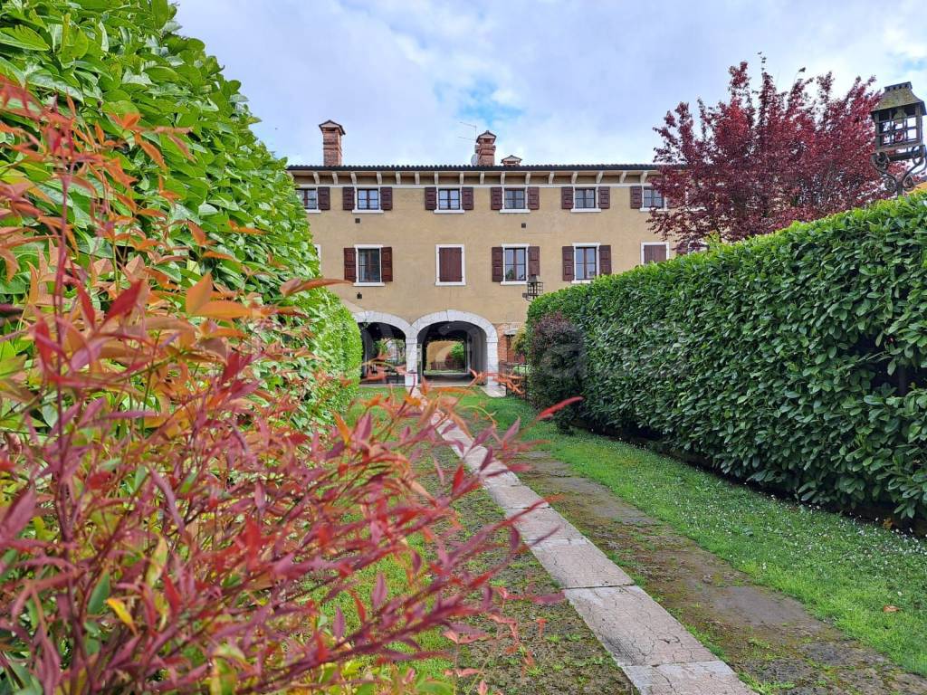 immagine annuncio 1 di 14