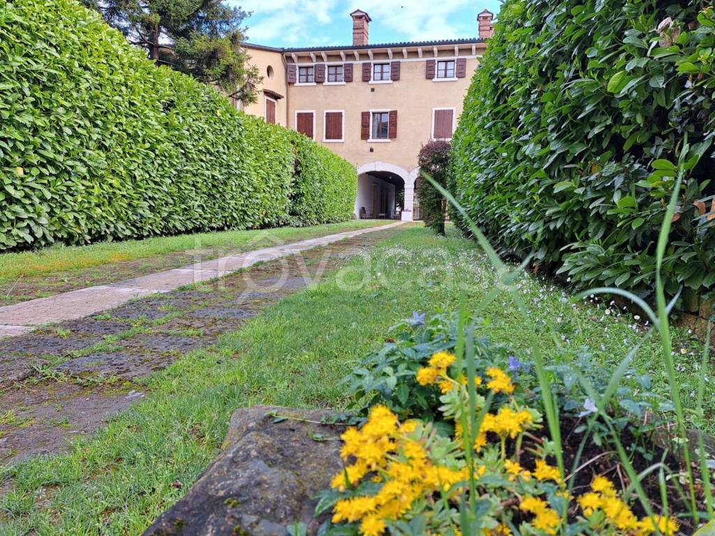 immagine annuncio 4 di 14