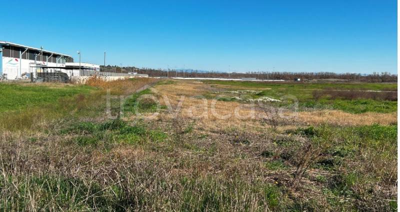 immagine annuncio 1 di 7