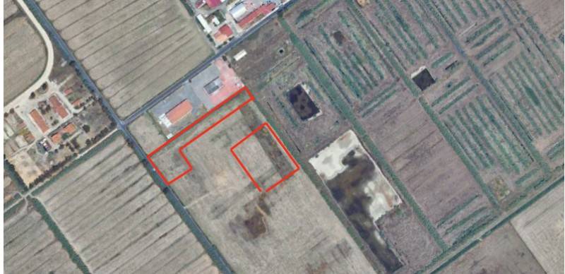 immagine annuncio 3 di 7