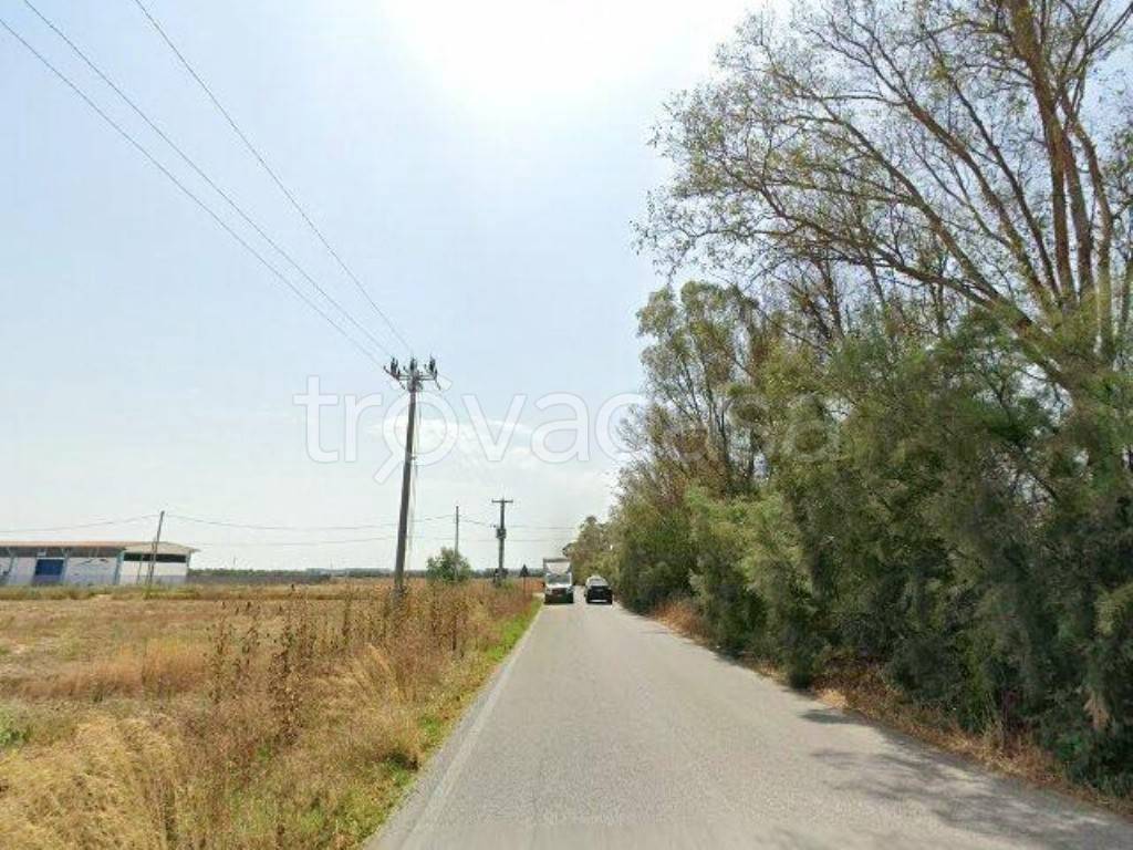 immagine annuncio 6 di 7