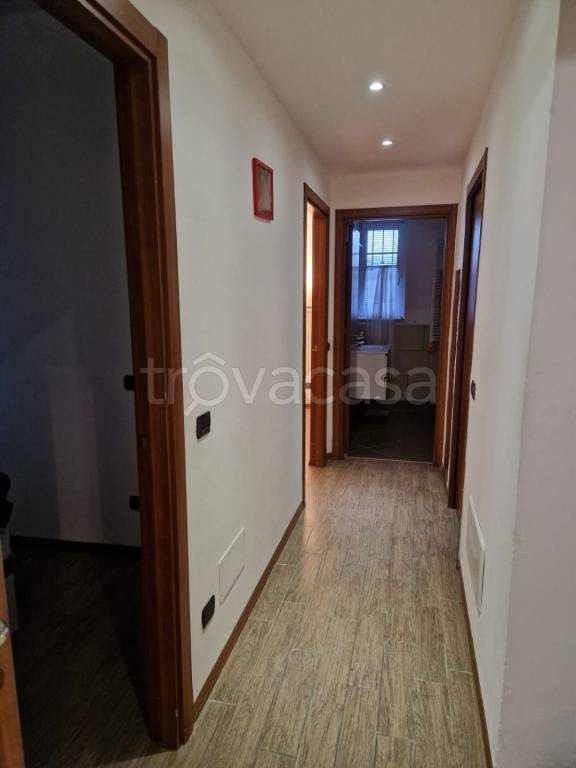 immagine annuncio 5 di 12