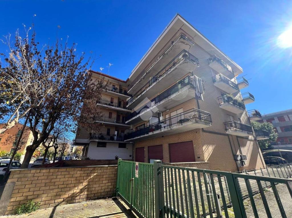 immagine annuncio 2 di 11