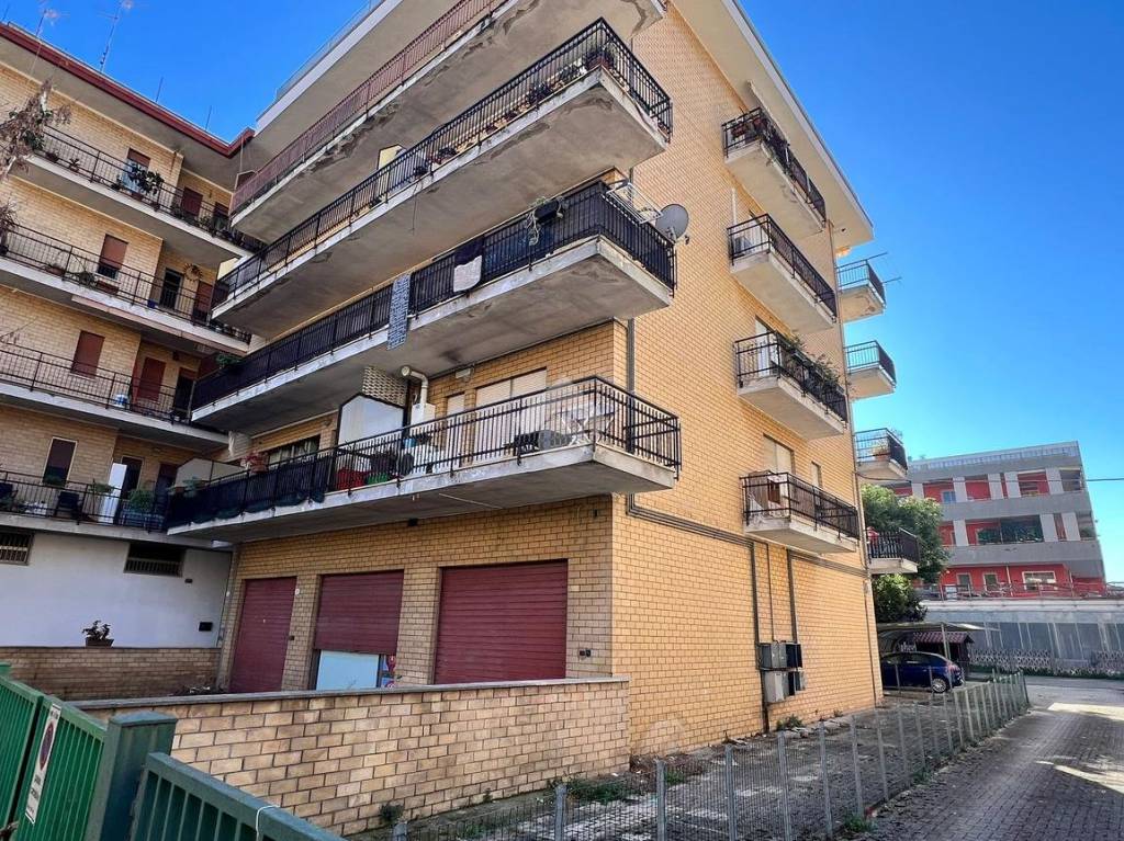 immagine annuncio 7 di 11