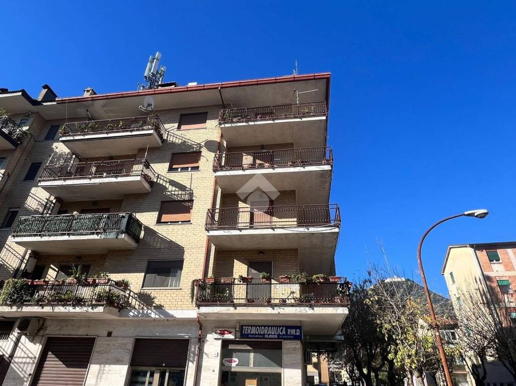 immagine annuncio 10 di 11