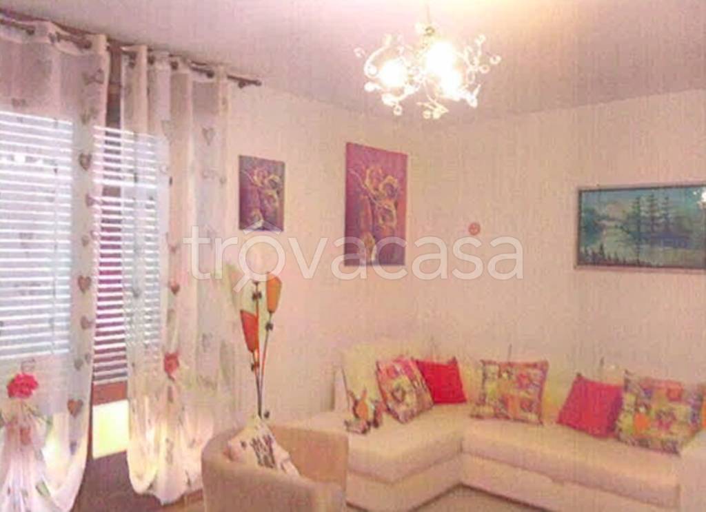 immagine annuncio 12 di 14