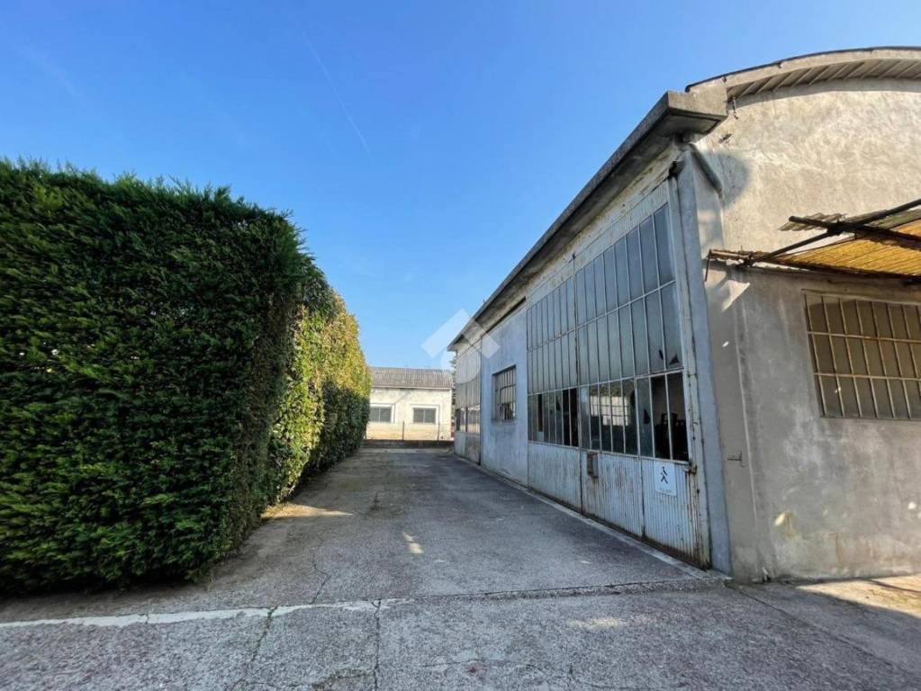 immagine annuncio 11 di 15