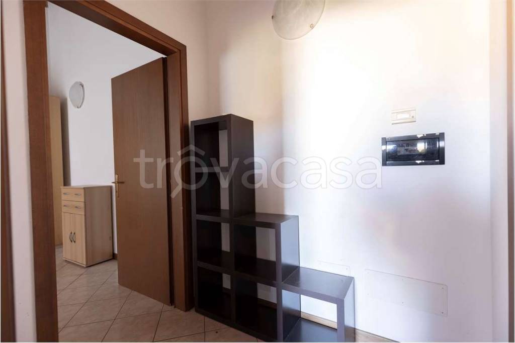 immagine annuncio 7 di 14