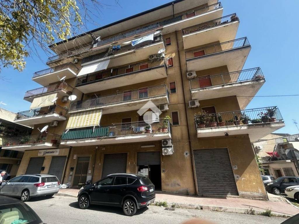 immagine annuncio 10 di 13