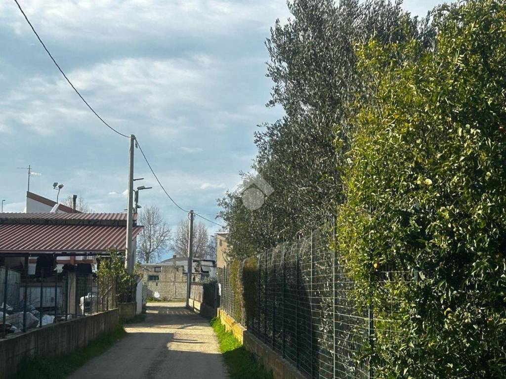 immagine annuncio 3 di 11