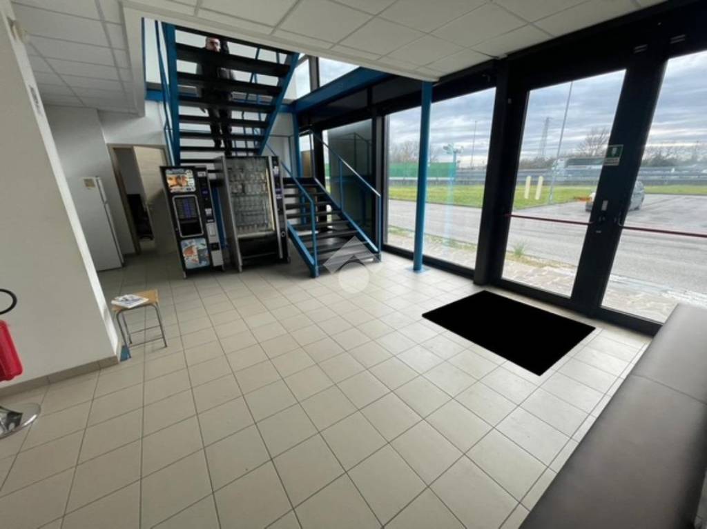 immagine annuncio 4 di 7