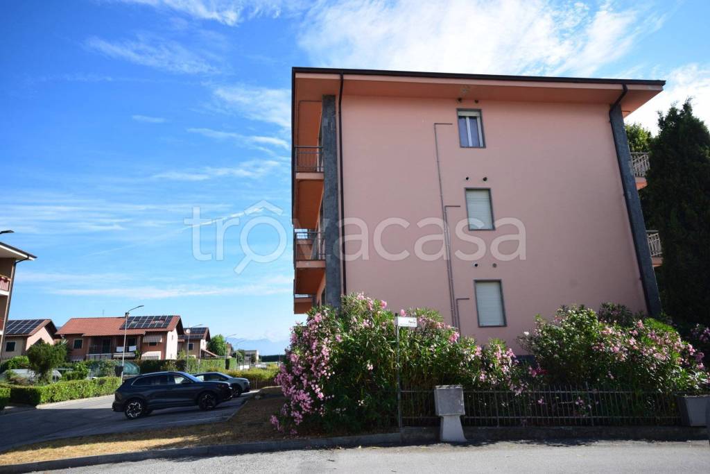 immagine annuncio 1 di 12