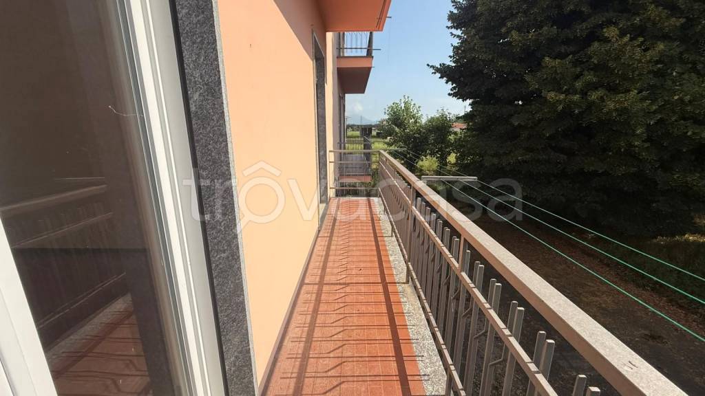 immagine annuncio 4 di 12