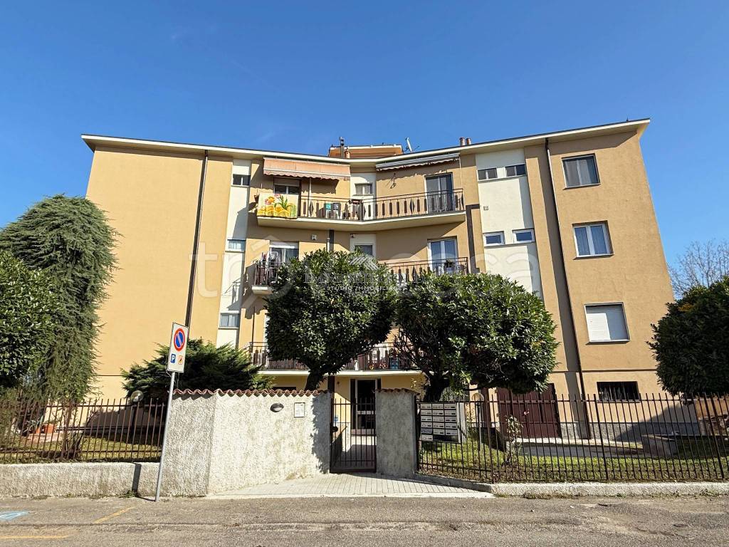 immagine annuncio 10 di 11