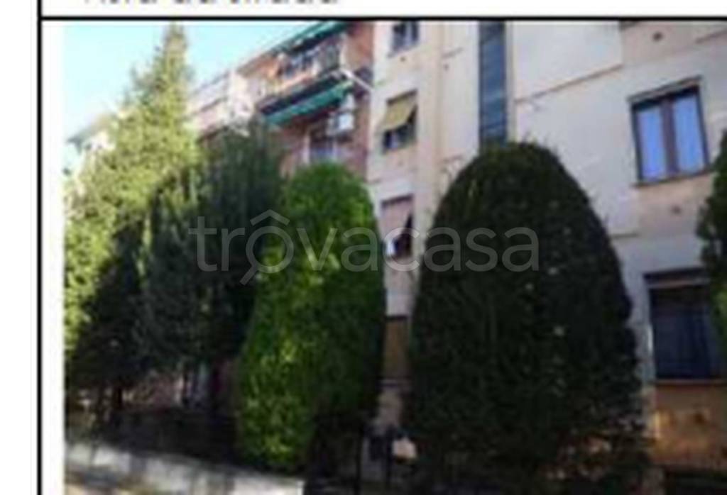 immagine annuncio 6 di 14