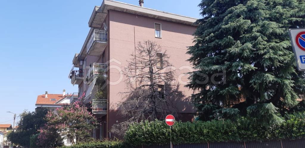 immagine annuncio 2 di 11