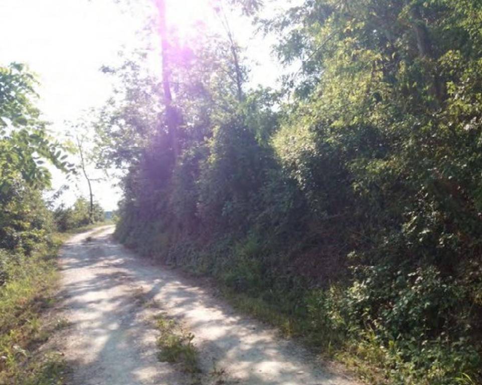 immagine annuncio 6 di 12