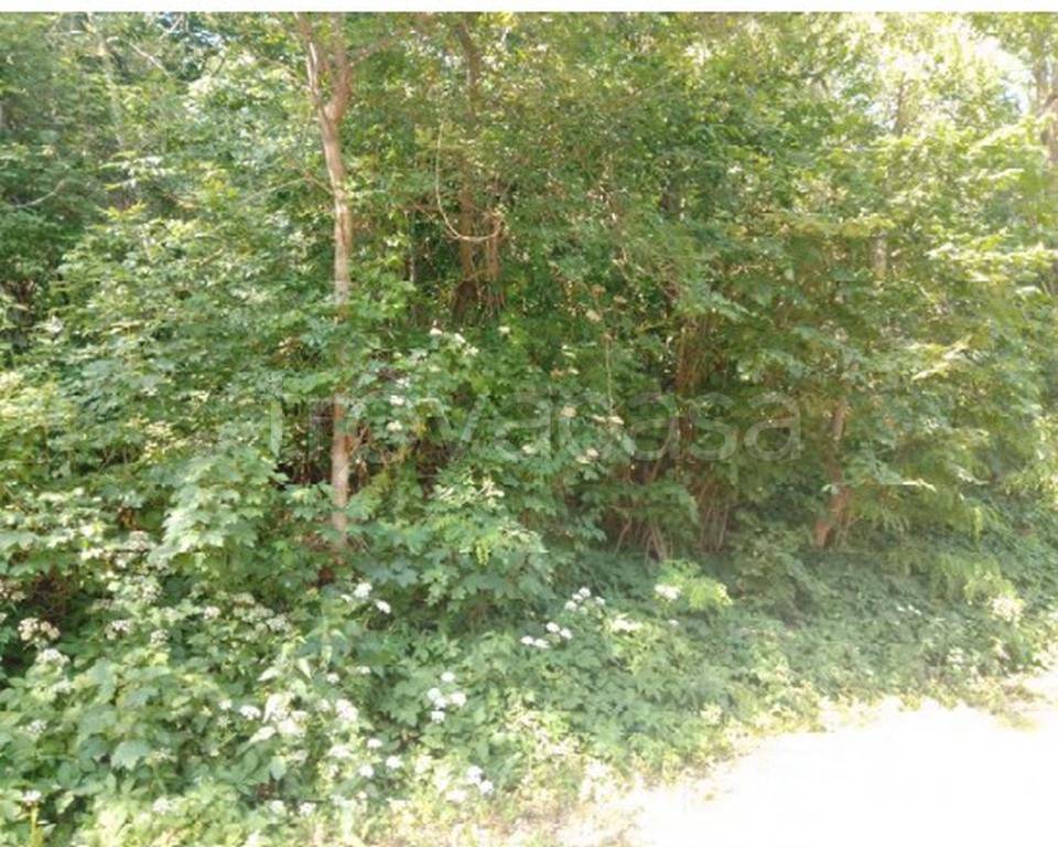 immagine annuncio 10 di 12